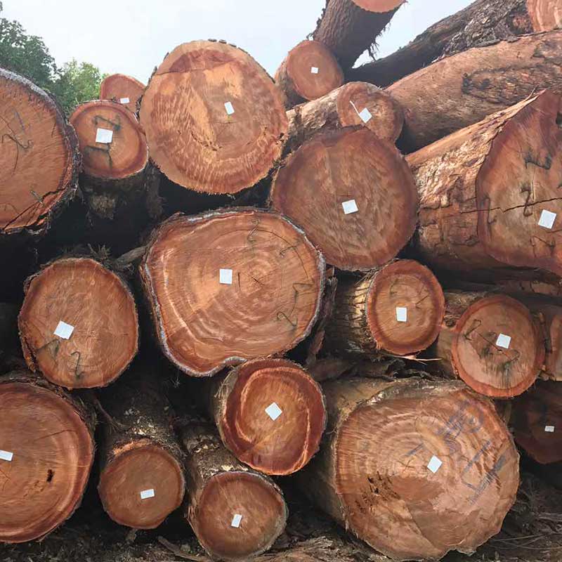 木材贸易,进口原木,木材进口-广东盛乐投资集团有限公司