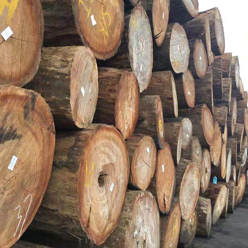 进口原木,进口木材市场,原木进口-广东盛乐投资集团有限公司
